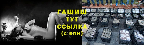 ПСИЛОЦИБИНОВЫЕ ГРИБЫ Дмитриев