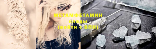 ПСИЛОЦИБИНОВЫЕ ГРИБЫ Дмитриев