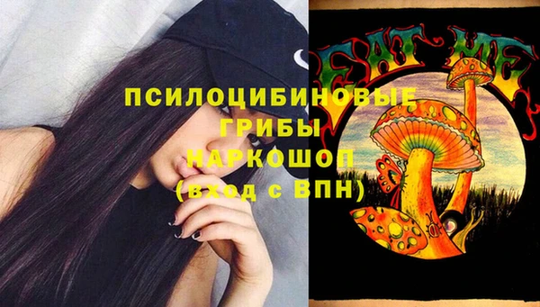 ПСИЛОЦИБИНОВЫЕ ГРИБЫ Дмитриев