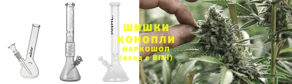 ПСИЛОЦИБИНОВЫЕ ГРИБЫ Дмитриев