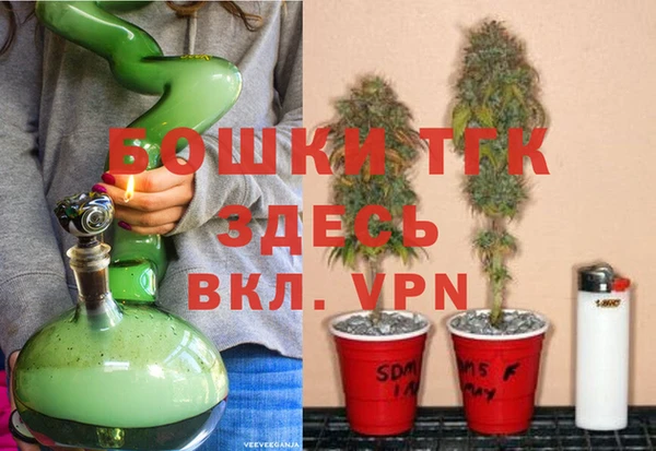 ПСИЛОЦИБИНОВЫЕ ГРИБЫ Дмитриев