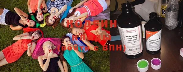 ПСИЛОЦИБИНОВЫЕ ГРИБЫ Дмитриев