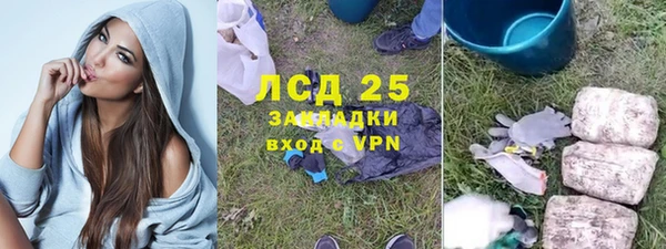СК Дмитров