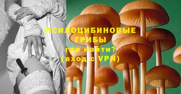 СК Дмитров