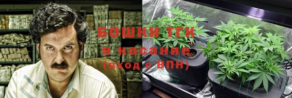 СК Дмитров