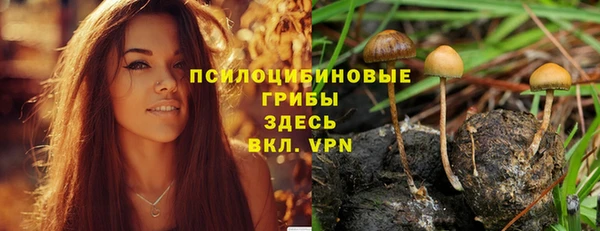МДМА Дмитровск