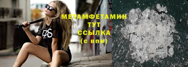 ПСИЛОЦИБИНОВЫЕ ГРИБЫ Дмитриев