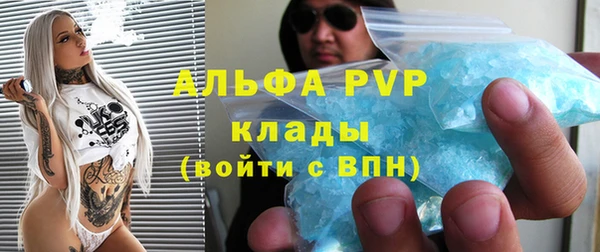 СК Дмитров