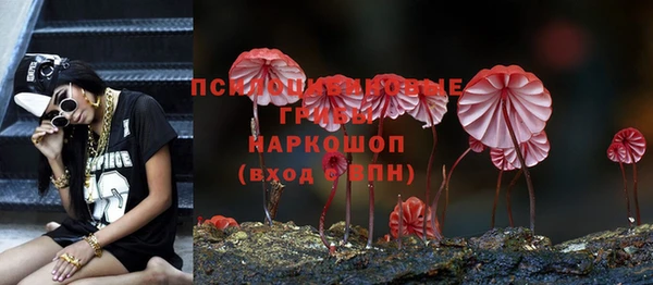 СК Дмитров