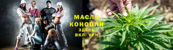 СК Дмитров