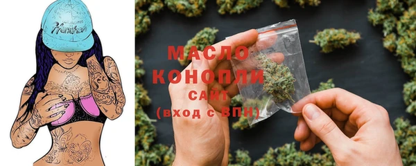 ПСИЛОЦИБИНОВЫЕ ГРИБЫ Дмитриев