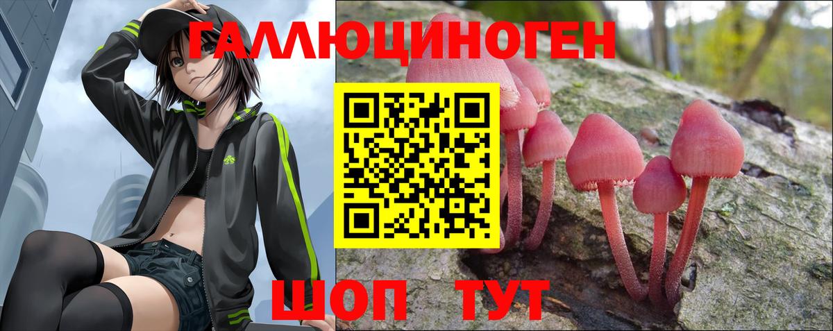 Псилоцибиновые грибы Psilocybe  Богданович 