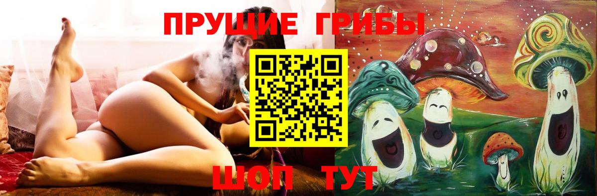 Псилоцибиновые грибы прущие грибы Богданович