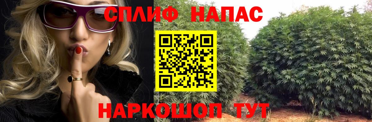 Канабис VHQ Богданович